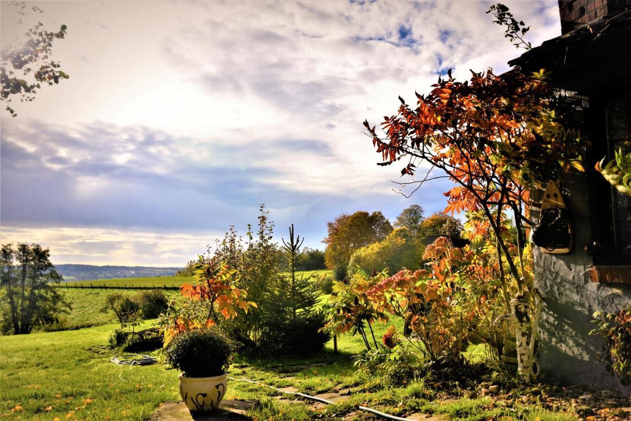 Maison Jeanny, Full House With Big Garden Frasnes-lez-Anvaing Exterior foto