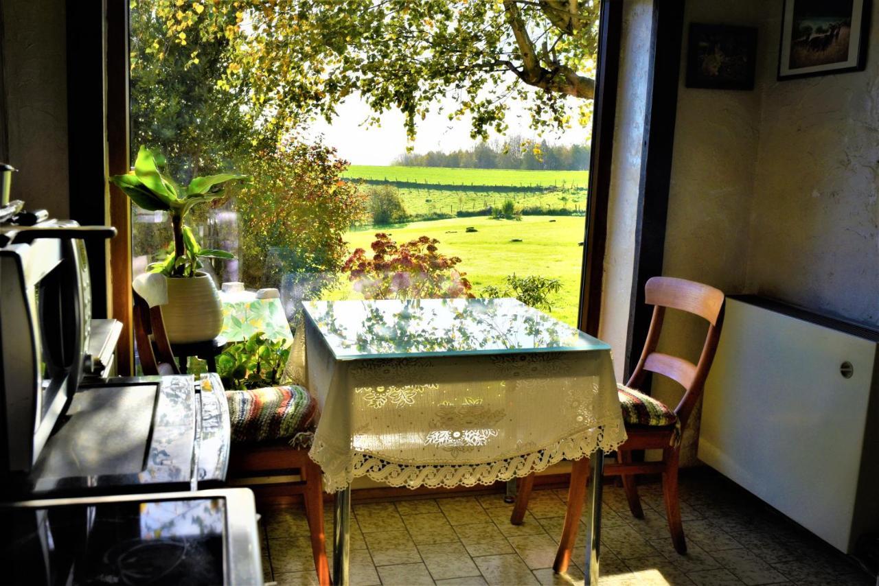 Maison Jeanny, Full House With Big Garden Frasnes-lez-Anvaing Exterior foto